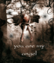   angel_wings