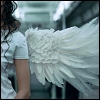     angel_wings